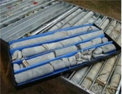 hdpe core tray