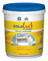 GOLDLUCK EcoDigital Anti - Alkali Sealer