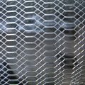 Manufacture Expanded Metal Sheet  Protective Fence 4