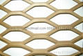 Expanded Metal Mesh