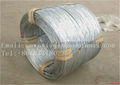 hot dipped galvanized wire 1