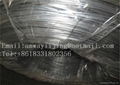 galvanized wire 5