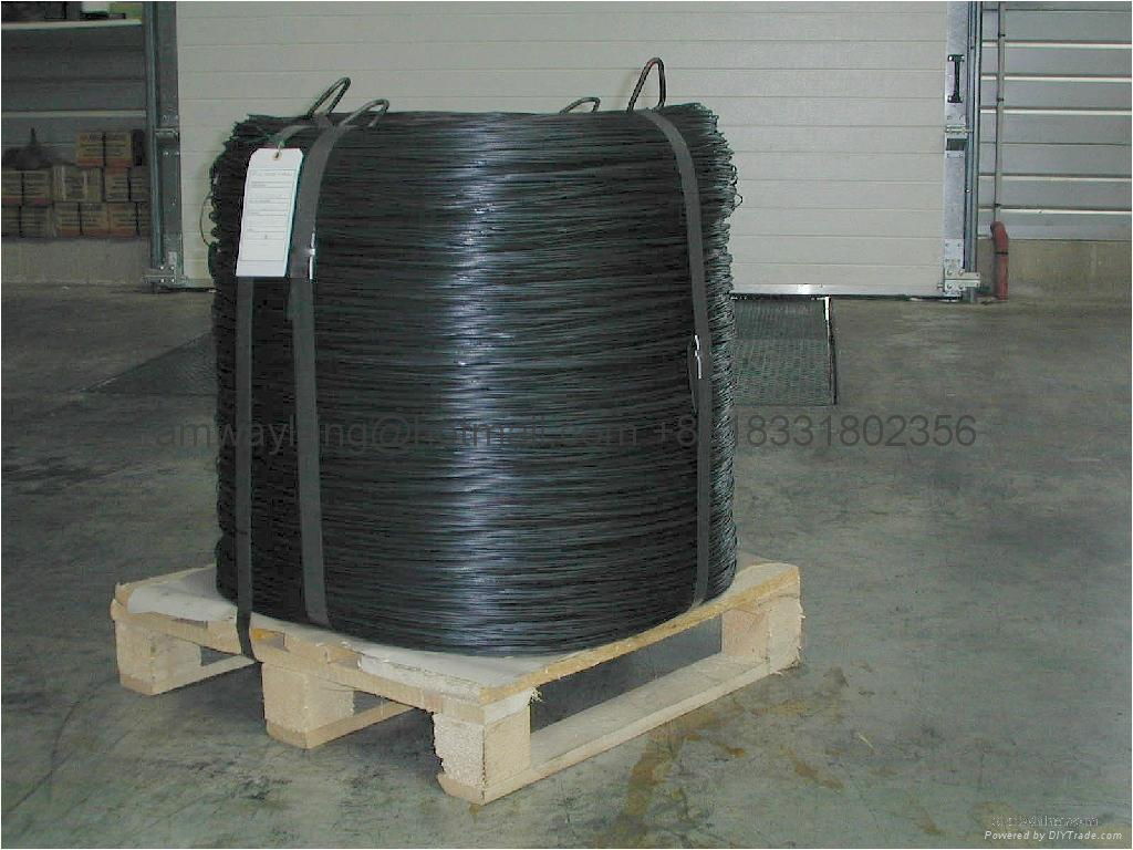 spring steel wire  2