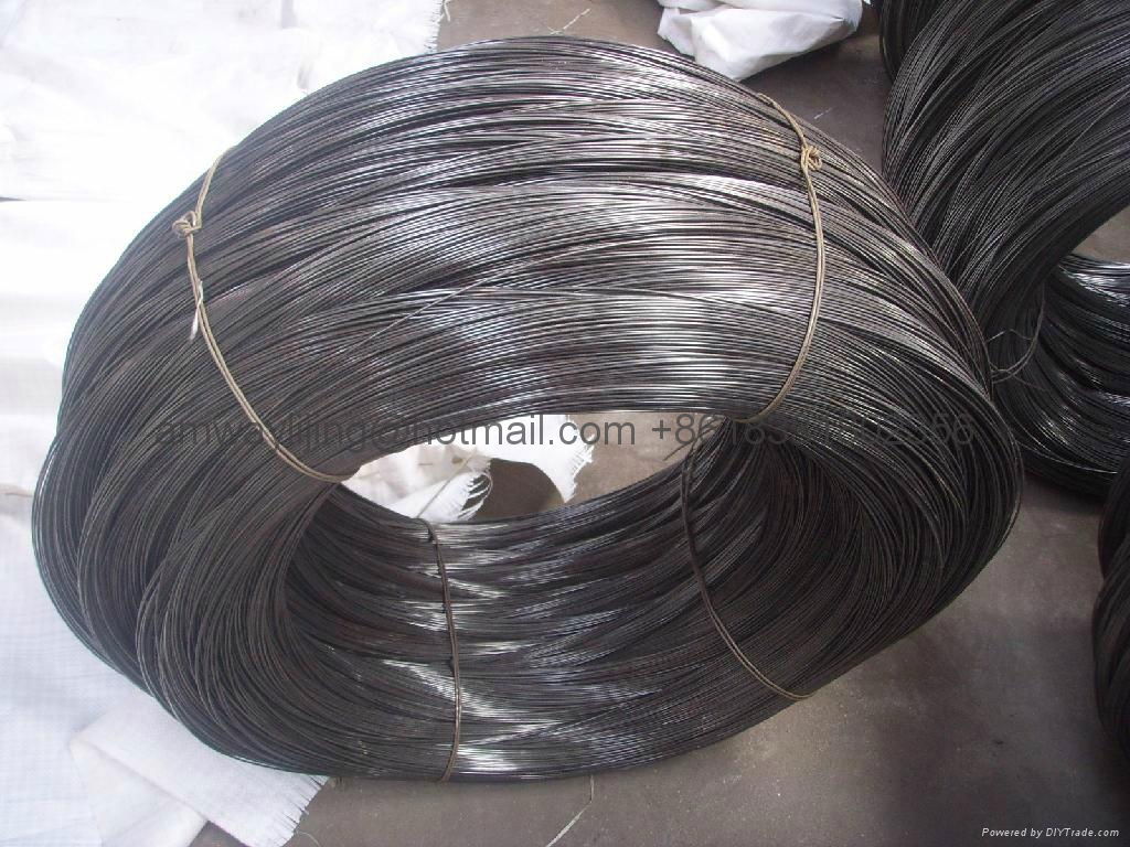 spring steel wire  5