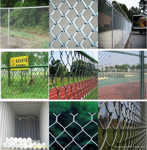 6'x10' chain link fence panels For dog kennels 4