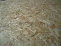 Oriented strand board