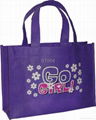 Enviro Shopping bag