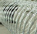 Razor wire 1