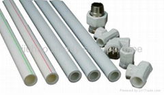 PP-R Steady State Pipe