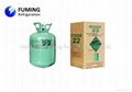 refrigerant gas  R22 5