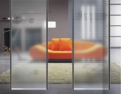 Decorative Glass Partition