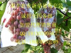 山东省荣丰农业科技发展有限公司
