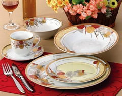 porcelain dinnerware