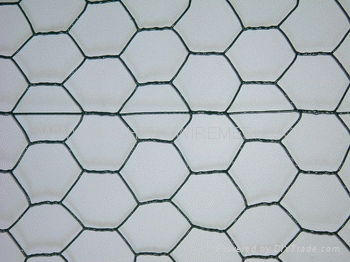 hexagonal wire netting 2