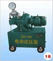 2D-SY高壓電動試壓泵