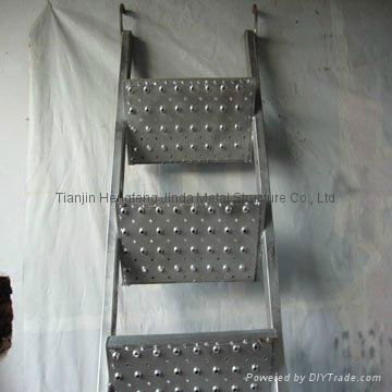 Scaffolding Ladder