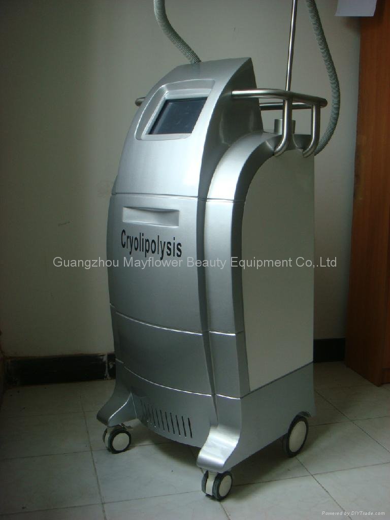Cryolipolysis Beauty Equipment (MY80)