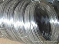 Electro Galvanized Wire