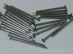 Common Iron Nails 