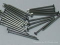 Common Iron Nails