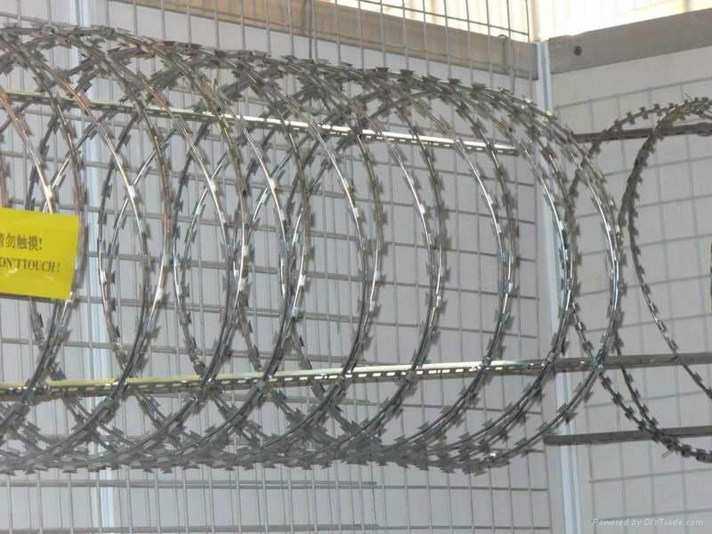 blade barbed wire 2