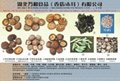 dried mushroom,black fungus,canned mushroom,canned fruits 1