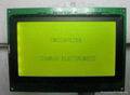 graphic lcd display 1