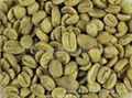 Green coffee beans 1