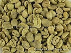 Green coffee beans