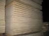 sell Canarium Plywood