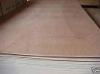 sell CANARIUM PLYWOOD