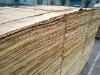 sell Eucalyptus Veneer 1