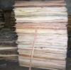 sell Acacia Core Veneer