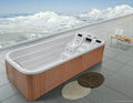 Spa Balboa system/ swim spa/whirlpool(M-3350) 1