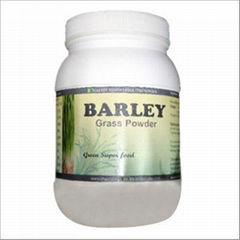 Barleygrass Powder 