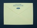 nice design DL envelope 1