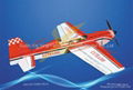 Toy hobby Extra300 30CC model plane