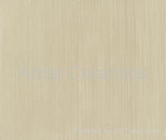 Line Stone series Porcelain Rustic Tile 2