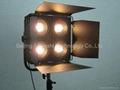 Fresnel light