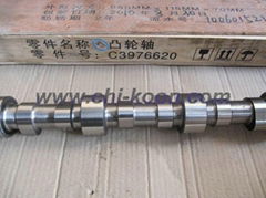 Cummins Camshaft 3923478