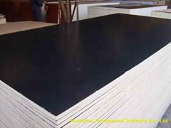 Black Film Faced Plywood