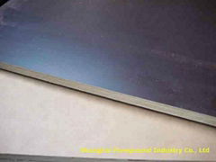 MDO/HDO Film Faced Plywood 