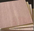 Okoume Plywood 1