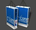 Paper shopping bag 2