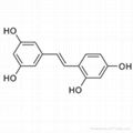 Oxyresveratrol