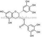 (-)-Epigallocatechin gallate 