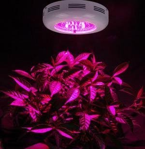 UFO 90w LED Grow Light 3