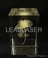 Color laser engrave in crystal