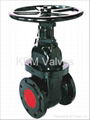 Gate Valve 1