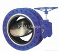 Butterfly Valve 1